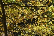 fotowocheokt10-251