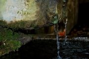 fotowocheokt10-273