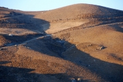 fotowocheokt10-396