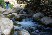 tag-1-19
